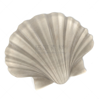 扇贝,女王凤凰螺,形状,海螺,贝壳,贻贝,帽贝,软体动物,绘画插图,方形画幅