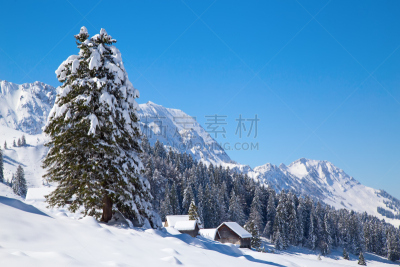 冬天,阿尔卑斯山脉,天空,美,风,水平画幅,桑蒂斯,雪,户外