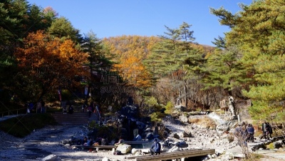 草津,群马县,温泉,里山,非都市风光,旅游目的地,水平画幅,日本,散步道,户外