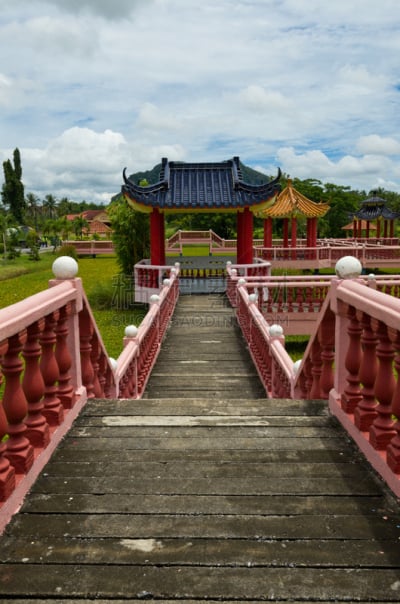 玻璃市,马来西亚,垂直画幅,水,天空,公园,睡莲,无人,户外,湖