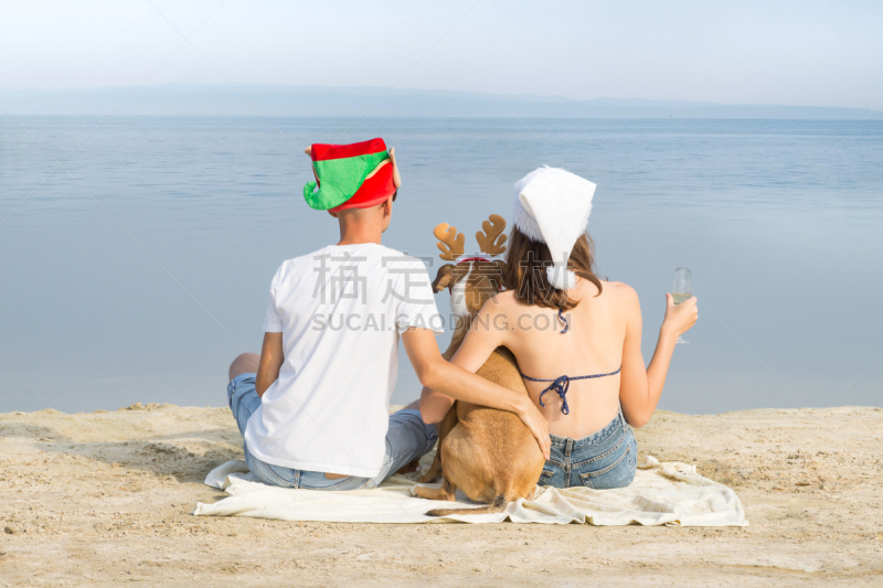 海滩,狗,海洋,宠物,看风景,伴侣,年轻双亲,享乐,坐