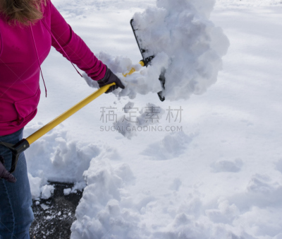 雪,动物足,在上面,暴风雨,重的,冬季服务,水平画幅,努力,户外,干净