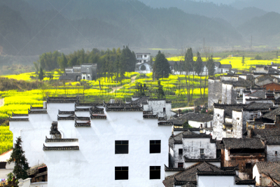 婺源,建筑业,中国,乡村,传统,建筑檐口,十字花科,花椰菜,拱门,砖墙