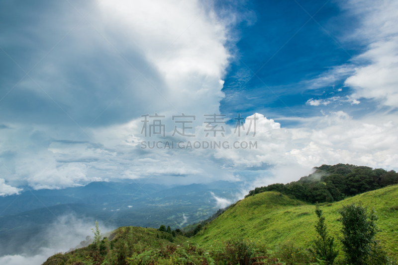 早晨,泰国,雨林,地形,茵他侬国家公园,风景,光,热带雨林,天空,美