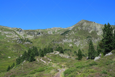 山,松木,宝丽丝山脉,天空,水平画幅,户外,针叶树,生态多样性,松科,林务官