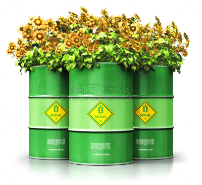 生物燃料,白色背景,向日葵,绿色,组物体,分离着色,小罐,背景分离,技术,草