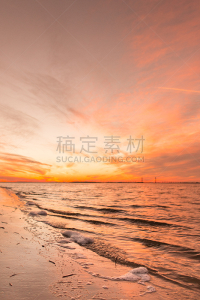 海滩,浮木,吉柯博士岛,垂直画幅,水,天空,沙子,林区,光,明亮