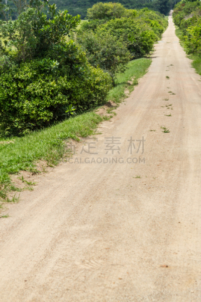 土路,农场,高卓牛仔,南里奥格兰德州,家牛,垂直画幅,阿雷格里波特,户外,草,田地