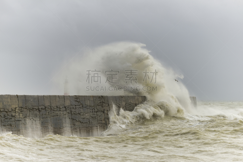 海岸线,暴风雨,波浪,危险,冬天,墙,纽黑文,宏伟,海港,破坏