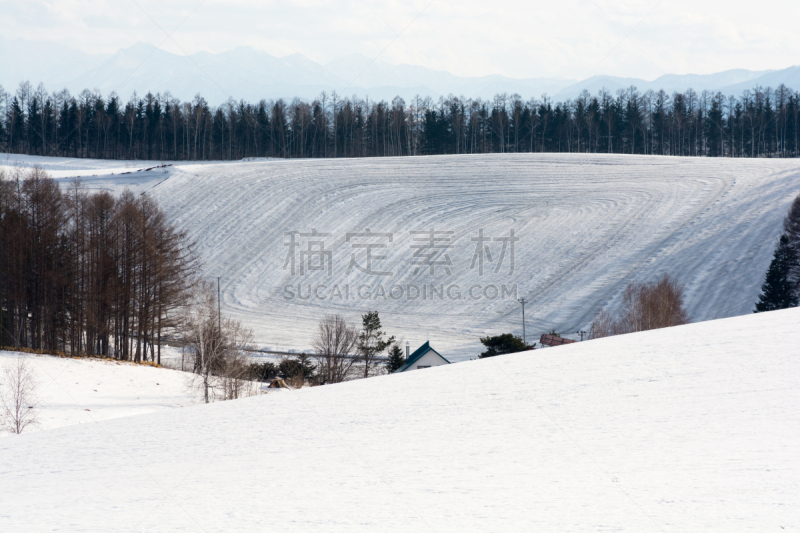 雪,田地,贺卡,留白,水平画幅,山,无人,户外,树林,路盐