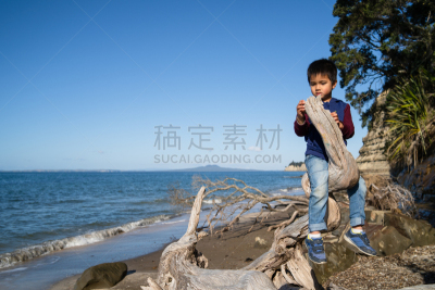儿童,新西兰,圆木,龙湾,奥克兰,水,水平画幅,进行中,家庭生活,户外