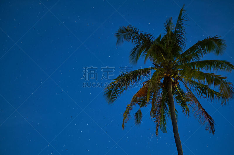 夜晚,棕榈树,彗星,新月形,水平画幅,巴厘岛,无人,月亮,湖,充满的