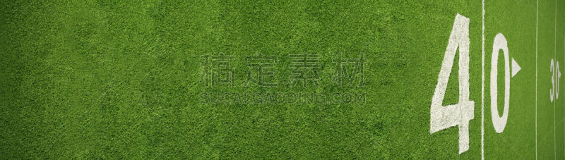 四十码线,美式橄榄球运动,留白,水平画幅,绿色,无人,全景,正上方视角,草