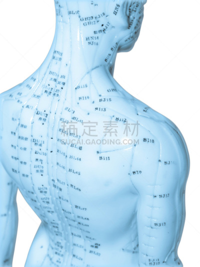 针灸,腰骶部,针灸针,背痛,穿洞的,垂直画幅,人类肌肉,健康保健,健康
