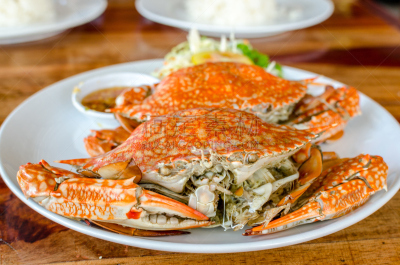 螃蟹,小溪,煮食,海产,动物身体部位,蒸锅,豆腐,锯缘青蟹,动物鳍,雌性动物