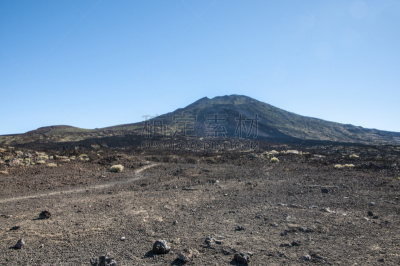 timanfaya national park,兰萨罗特岛,金丝雀,褐色,水平画幅,无人,巨大的,大西洋群岛,户外,北美歌雀