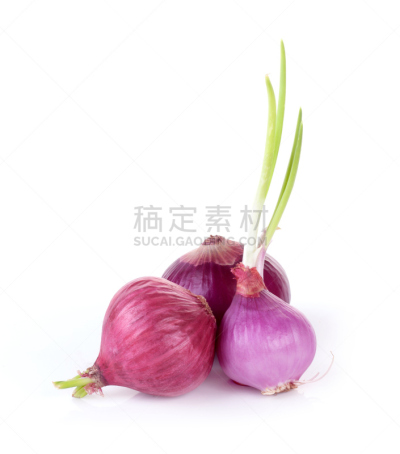 洋葱,红色,切片食物,欧芹,清新,白色背景,静物,分离着色,嗅球,垂直画幅