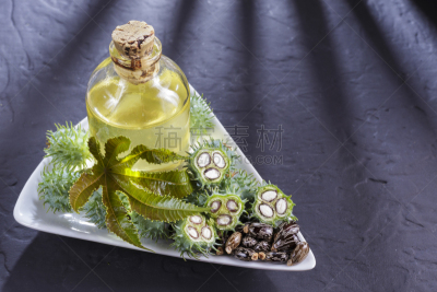 豆,蓖麻油,桌子,黑色,生物学,农业,甘油三酸酯,健康保健,自然界的状态,药