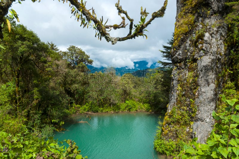 危地马拉,森林,秘密,泻湖,韦韦特南戈,水平画幅,枝繁叶茂,山,无人,早晨