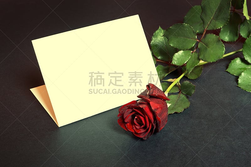 玫瑰,贺卡,空的,红色,生日卡,周年纪念,清新,浪漫,信函,情人节卡