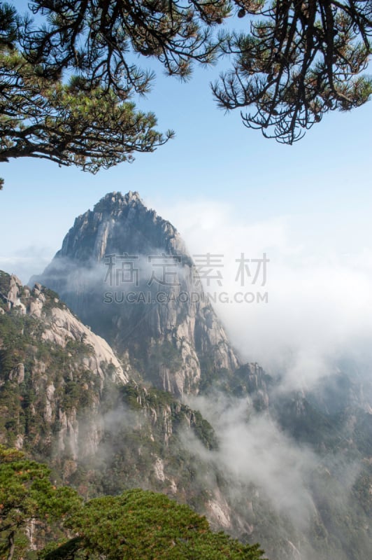 黄山山脉,中国,中长距离,安徽省,自然,垂直画幅,松树,地形,山,地质学