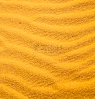 摩洛哥,褐色,沙丘,撒哈拉沙漠,沙漠,垂直画幅,沙子,干的,热带气候,技术
