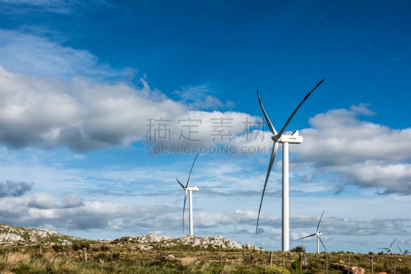 乌拉圭,马尔多纳多省,风轮机,齿状山脊,punta del este,空的,西北,风,草,岩石