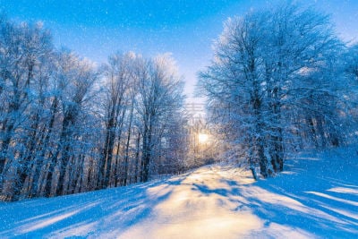 雪,白色,冬天,地形,伊斯坦布尔,冷,天气,非凡的,土耳其,树