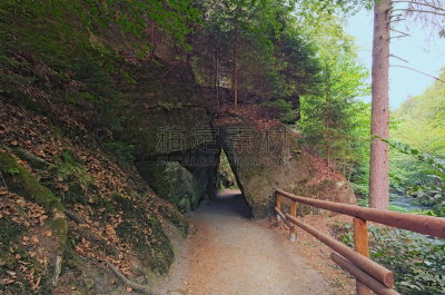 小路,河流,岩石,风景,绿色,森林,徒步旅行,s形