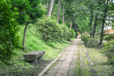 高崎,长椅,风景,城堡,群马县,木板路,留白,水平画幅,秋天,无人