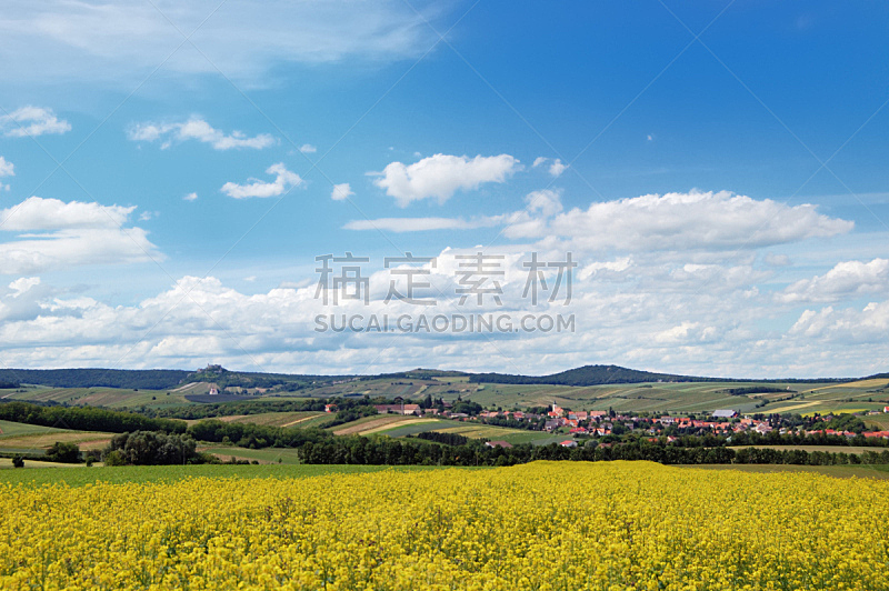 Picturesque view of hilly countryside area with rapeseed filed i