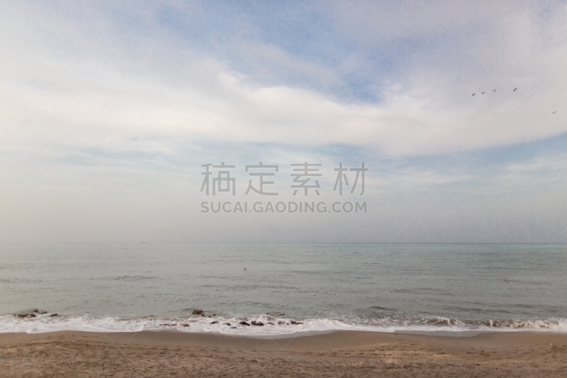 海滩,佛罗里达,木星,水,天空,美,水平画幅,棕榈沙滩镇,无人,鸟类