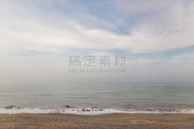 海滩,佛罗里达,木星,水,天空,美,水平画幅,棕榈沙滩镇,无人,鸟类