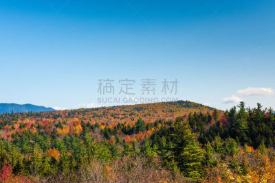 山,秋天,观光公路,甘蔗,看,美国,水平画幅,枝繁叶茂,主干路