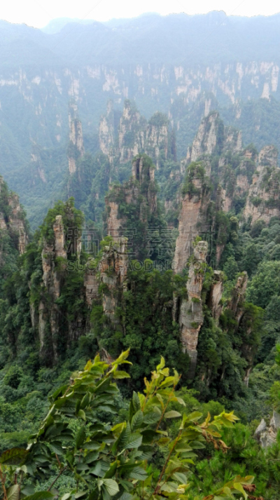 山,旅途,世界遗产,铅笔,公园,枝繁叶茂,不关心,张家界,中国,武陵源风景名胜区