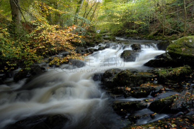 birks of aberfeldy,水平画幅,岩石,秋天,瀑布,无人,苏格兰,户外,阿伯费尔地,自然美
