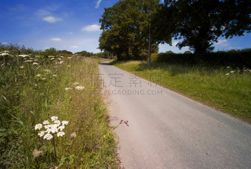 单车道,峨参,绿化隔离带,沃里克郡,水平画幅,无人,英格兰,方向,田地,空的