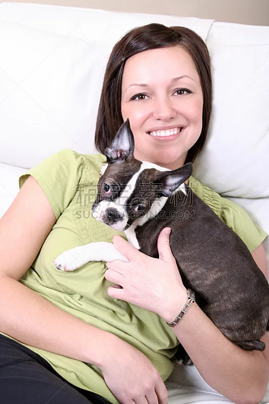 波士顿猎犬 青年女人 垂直画幅 美 梗犬 美人 白人 仅成年人 沙发 青年人图片素材下载 稿定素材 波士顿猎犬 青年女人 垂直画幅 美 梗犬 美人 白人 仅成年人 沙发 青年人图片素材下载 稿定素材