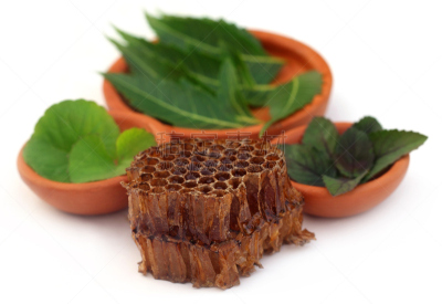 草药,蜂窝,拉他河,楝树,蜂蜡,灵性,印度草医学,水平画幅,spa美容,蜡