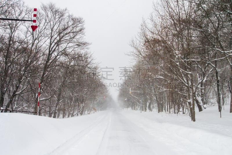 北海道,大风雪,日本,自然,里山,寒冷,旅游目的地,水平画幅,地形,雪