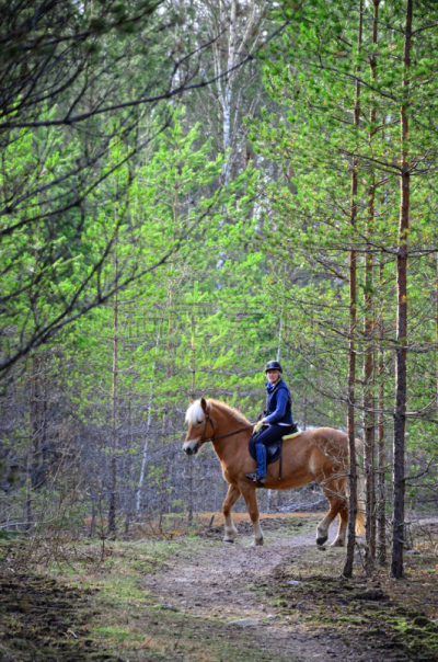 Riding in forest