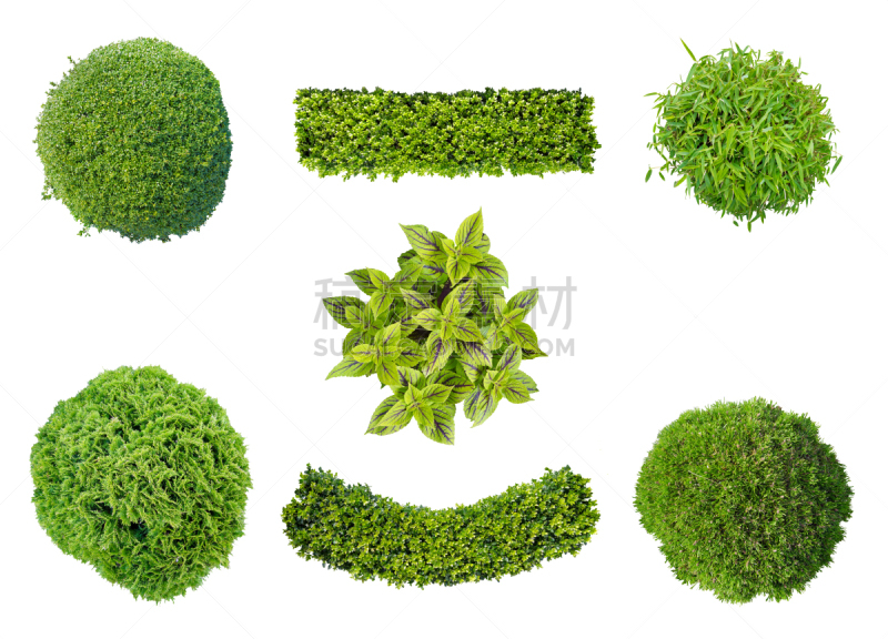 航拍视角,植物学,树篱,黄杨木,灌木,球体,圆形,球,布置,修剪