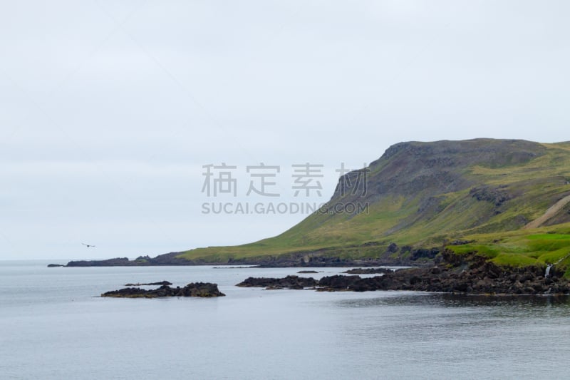 博尔加内峡湾,峡湾,东,风景,冰岛国,冰岛中西部,自然界的状态,野生动物,著名景点,海岸线