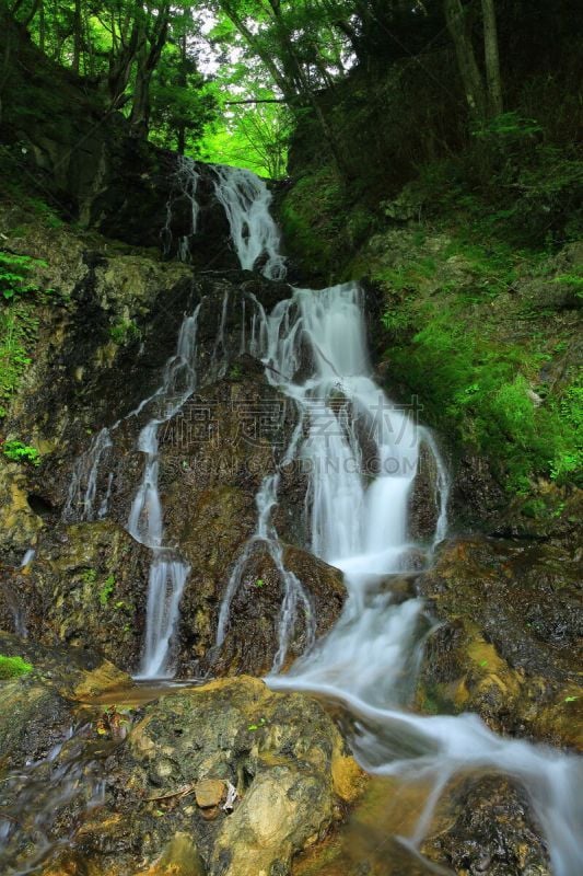 夏天,shiraito falls,垂直画幅,水,瀑布,户外,植物,山,风景,东北片区