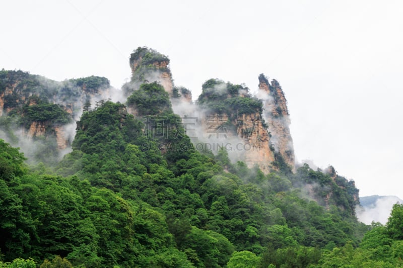 雾,山,绿色,地形,与众不同,云景,岩石,白色,绿山国家森林公园,树