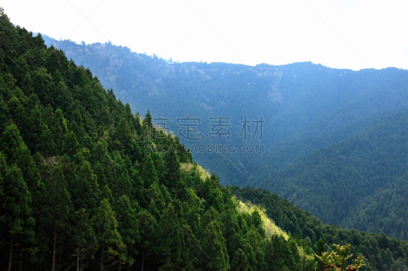 高野山,山,水平画幅,地形,无人,日本,近畿区域,材料,和歌山县,背景