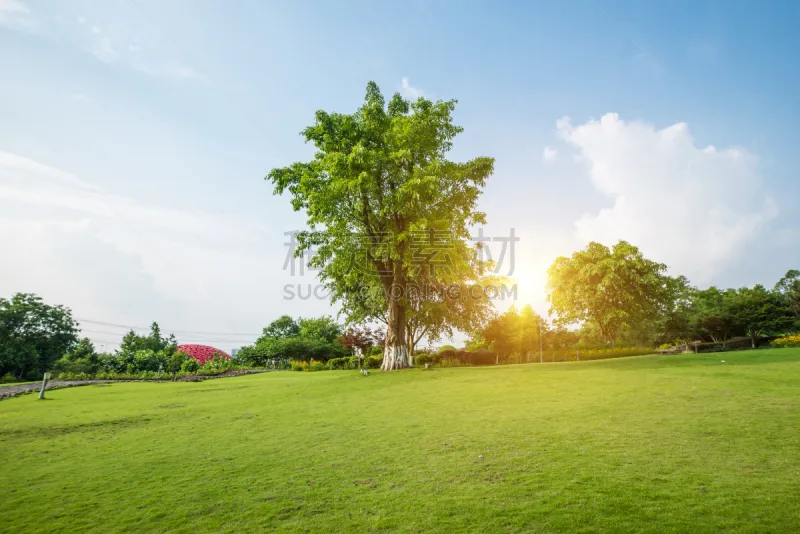 环境 背景 地形 公园 平原 草坪 长椅 云 草 池塘图片素材下载 稿定素材