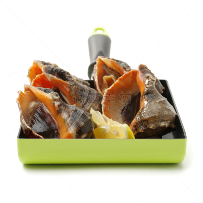 海螺,动物,白色背景,喇叭形海螺,女王凤凰螺,自然,饮食,野生动物,无人,软体动物