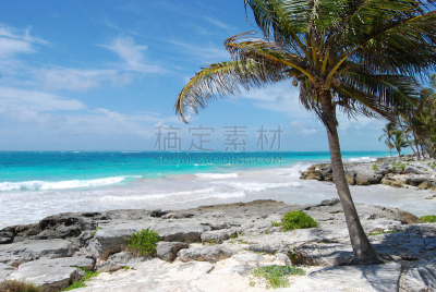 棕榈树,海滩,海洋,鸡尾酒,维托尔拜亚,墨西哥湾,山毛榉树,加勒比海,水,天空