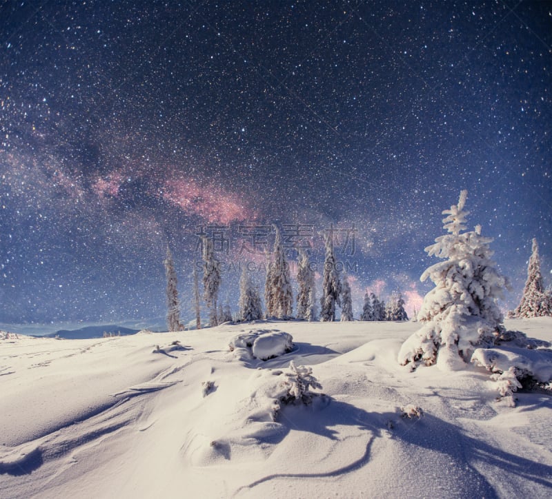 树林,冬天,乳牛场,星际迷航,天空,气候,水平画幅,夜晚,雪